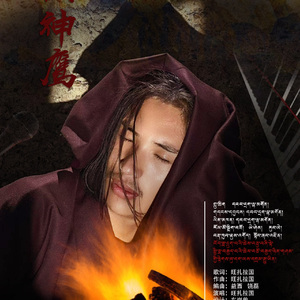 翱翔神鹰