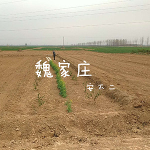 魏家庄