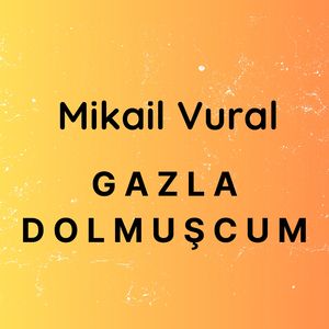 Gazla Dolmuşcum