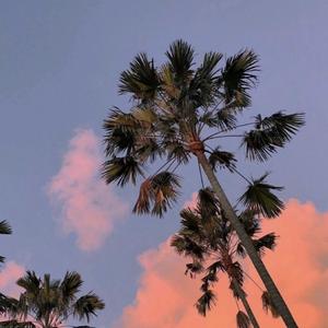 爱意不是短暂的