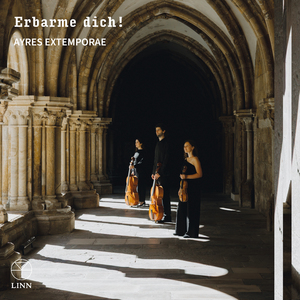 Violin Sonata No. 5 in E Minor, C. 142: I. Adagio