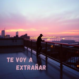 Te voy a extrañar