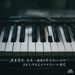 《黑白琴键》