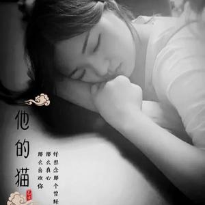 他的猫