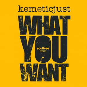 What You Want (Justin's Latin Tinge Mix)