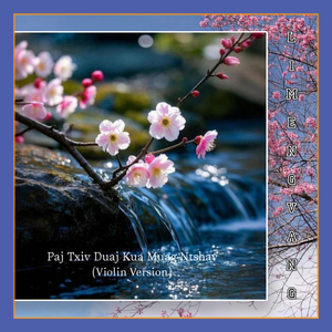 Paj Txiv Duaj Kua Muag Ntshav (Violin Version)