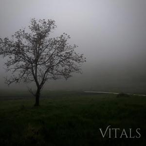 Encapsulating Leaves During Fall