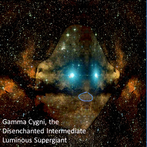 Flowers in the Stardust