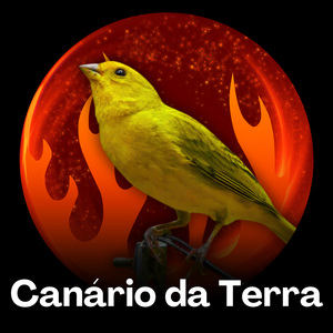 Canário da Terra - Estímulo de Canto com Frequência Alta