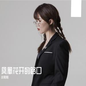 凤凰花开的路口(完整女版)