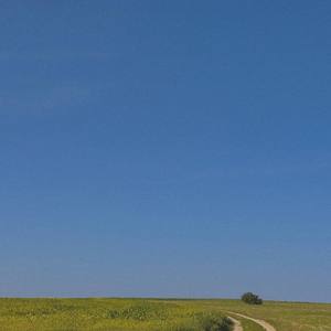 Его ангел не плачет