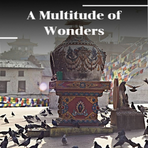 With Love I See Part Two