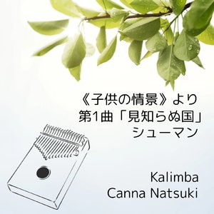 シューマン 子供の情景より 第1曲 見知らぬ国