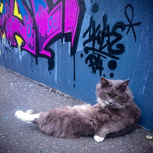 Rat Race (feat. MISSY)