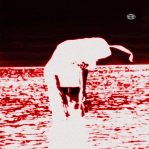 Anlamazdım önceden