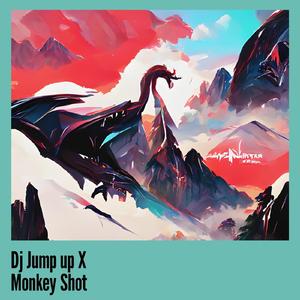 Dj Jump up X Monkey Shot (Live)