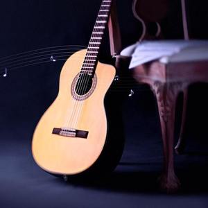 the truth that you leave 木吉他翻弹