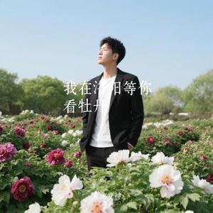 我在洛阳等你看牡丹