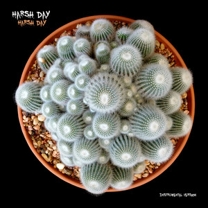 Aggregator (Instrumental version)