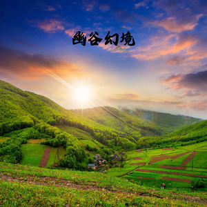 幽谷幻境 (扬琴)