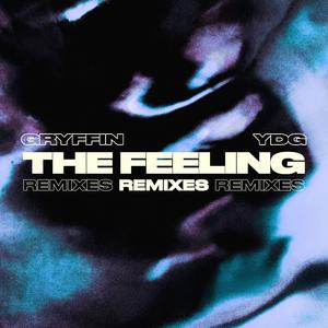 The Feeling (SABAI Remix)