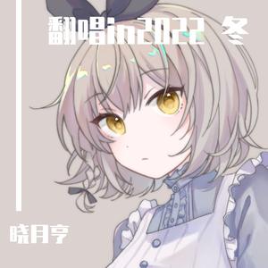 可不ちゃんのカレーうどん狂騒曲