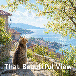 That Beautiful View