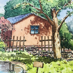 雨林日光浴 (流水, 浪花, 鸟语)