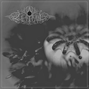 Pt. III Erinnerungen