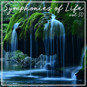 Ich Sehe Schon Sie Beherrschen Nicht Nur Ihre Kunst