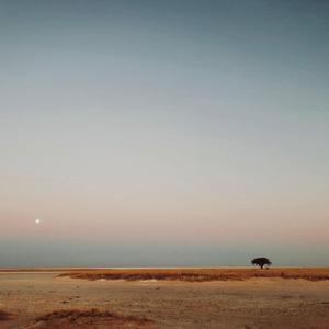 STILTE VOOR DE STORM