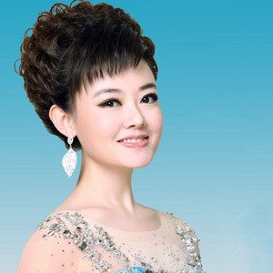 乔家大院 (上) 2009新年音乐会现场版