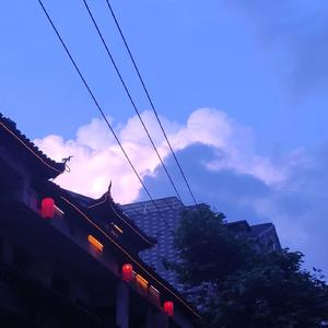 撒野
