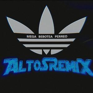 mega bebotea perreo (feat. infronteable & pachito)