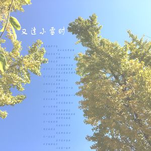 又逢小雪时
