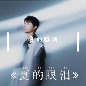 大山-月台风吹（大山 remix）