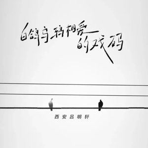 白鸽乌鸦相爱的戏码