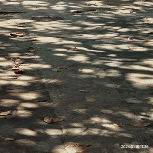 5月18 海风 新娘 一支烟