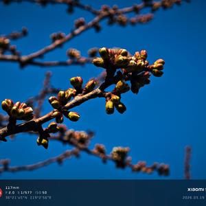 开始亦是结束的开始-lovee-507345915-320