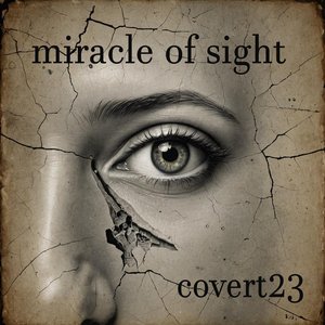 Miracle of Sight