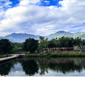 谢谢那个笨拙的我