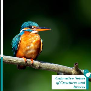 Prolific Spring Bees