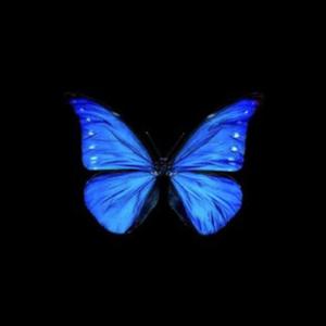 蜕变 （Prod.byFRESH_ye）