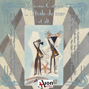 In media res, per orchestra