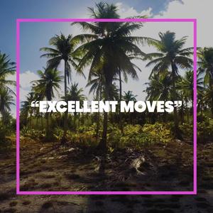 “Excellent Moves”