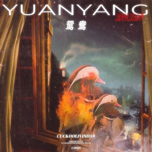 鸳鸯 YUANYANG