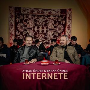 İnternete