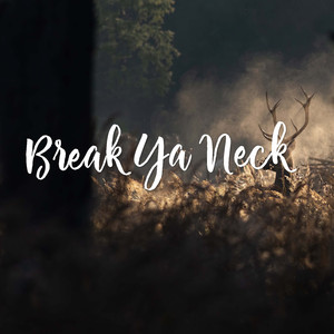 Break Ya Neck