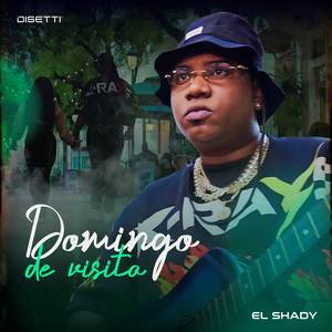 Domingo De Visita