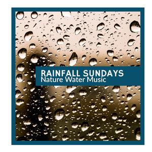 Tiny Insects & Birds